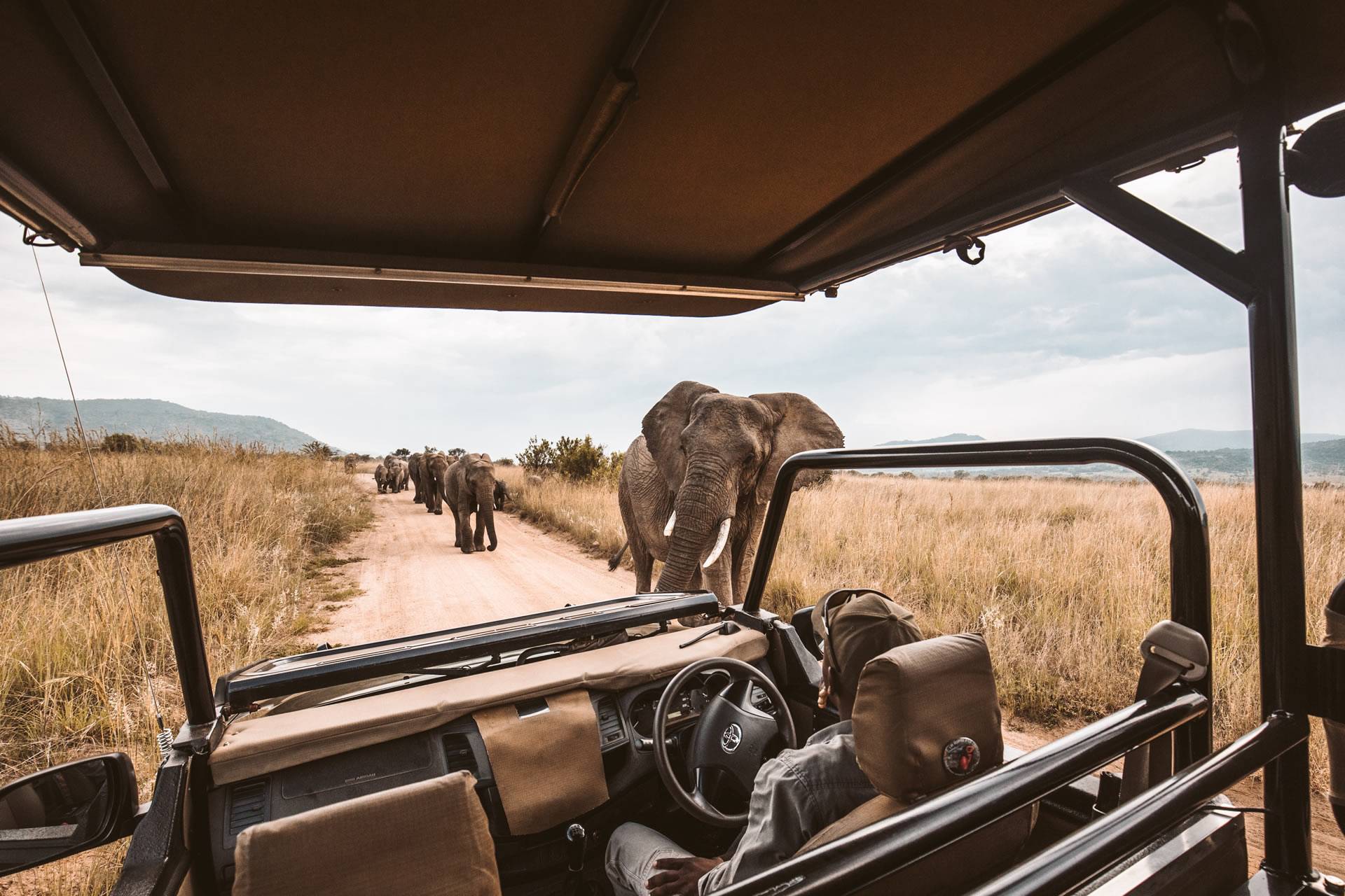 tanzania safari family