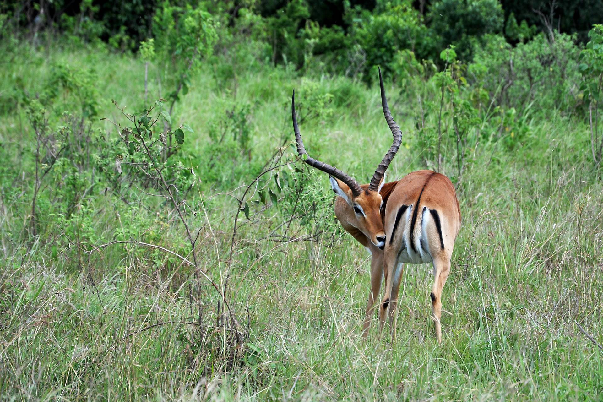 Best Day Trip - Arusha National Park