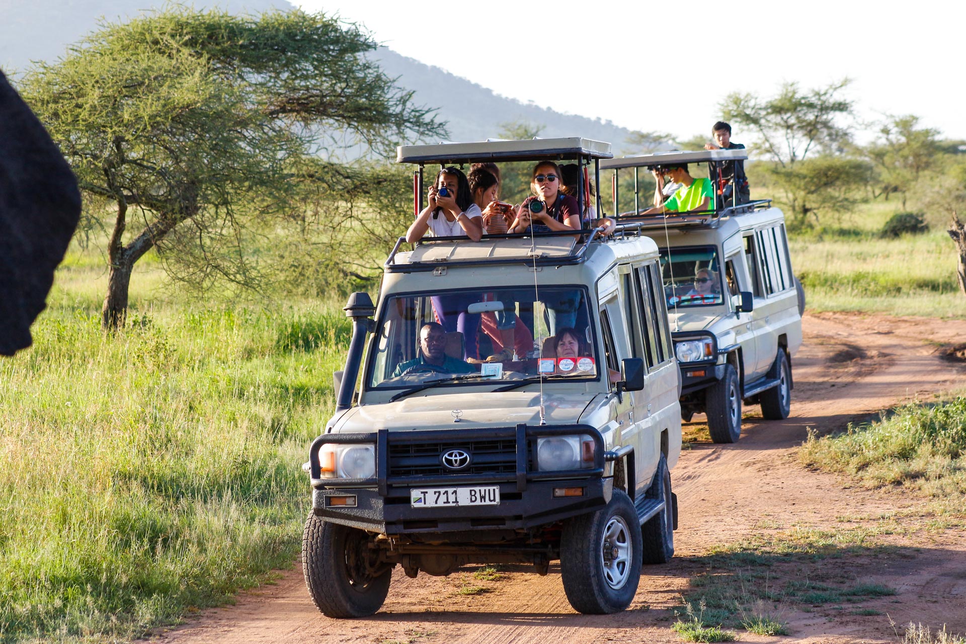 Amazing Family Safari in Tanzania