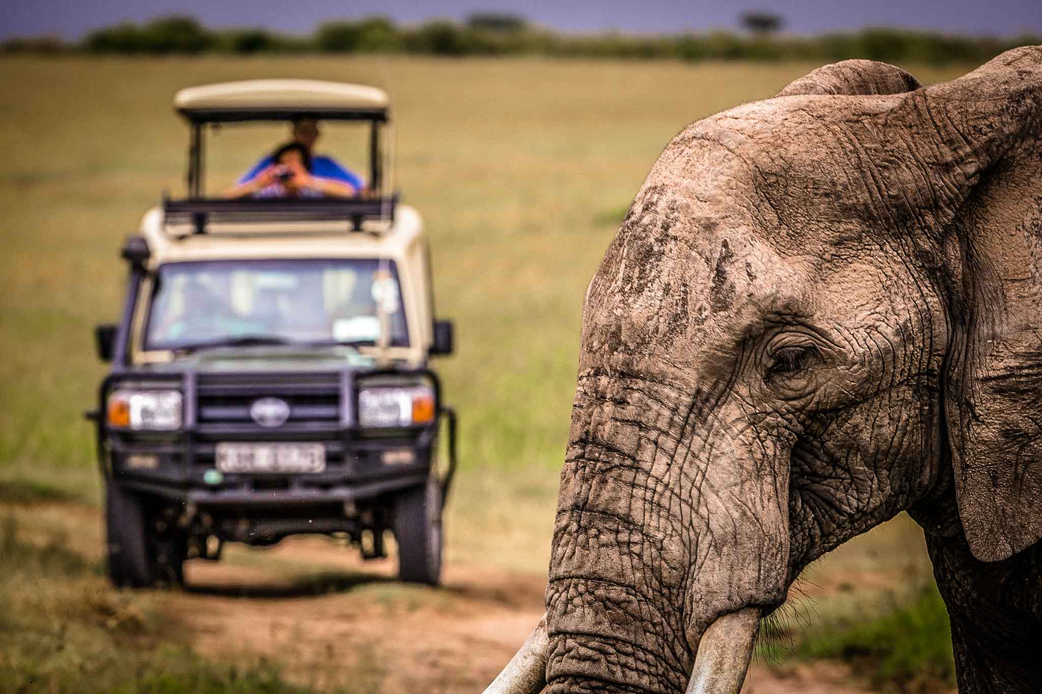 Tailor Made Safari | Tanzania Luxury Safaris