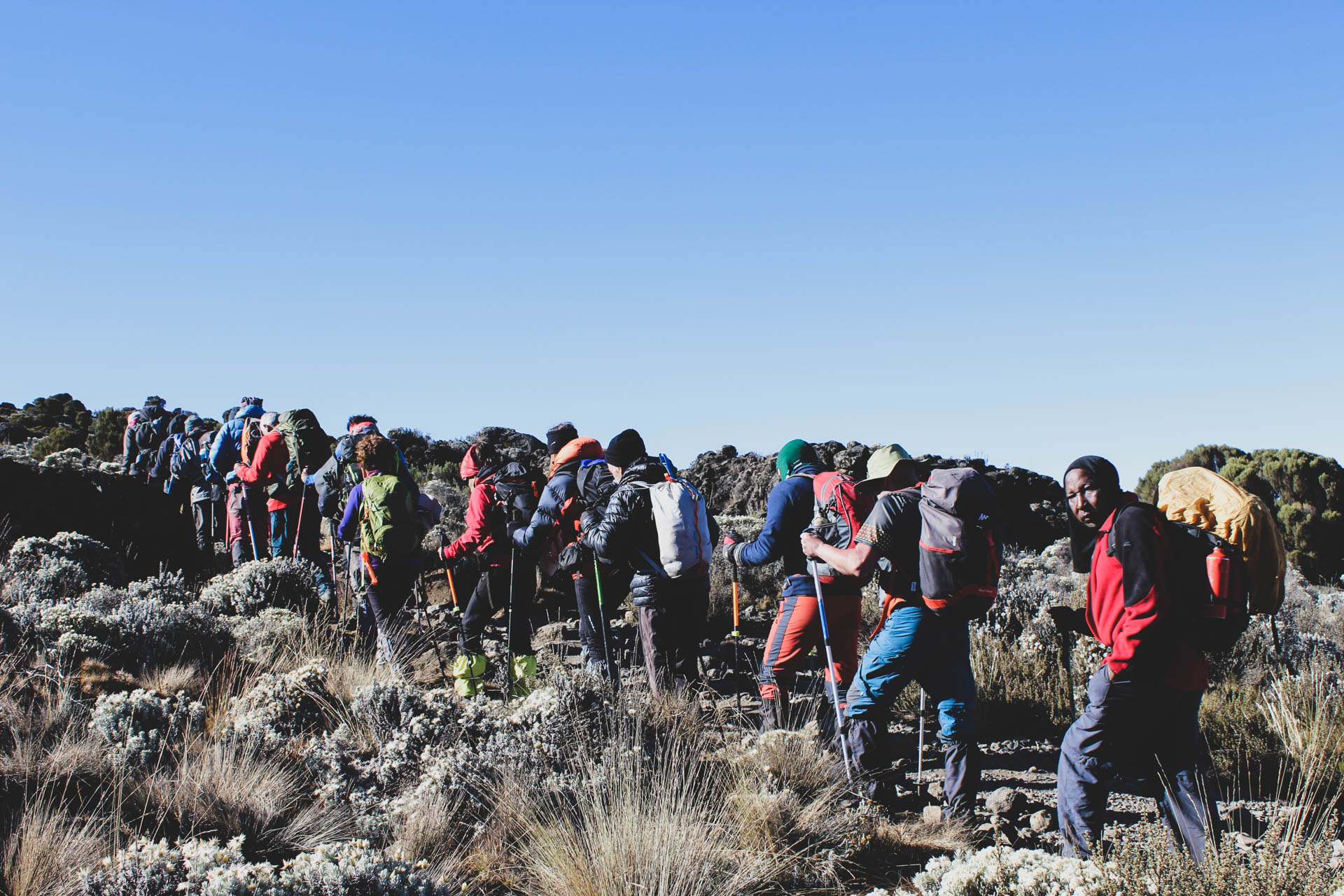 Kilimanjaro group climbing tours