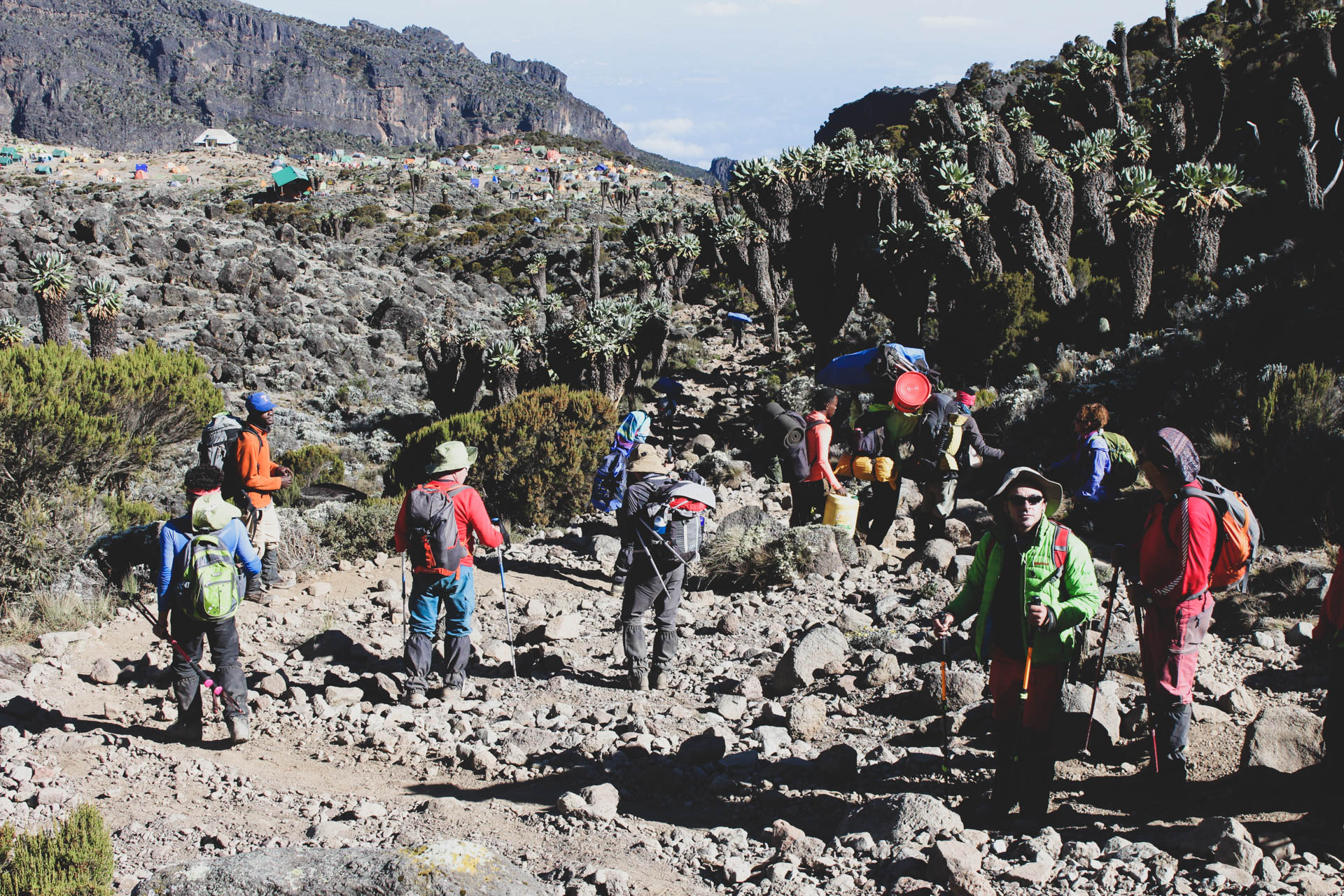 Book Kilimanjaro Climbing for Affordable Prices