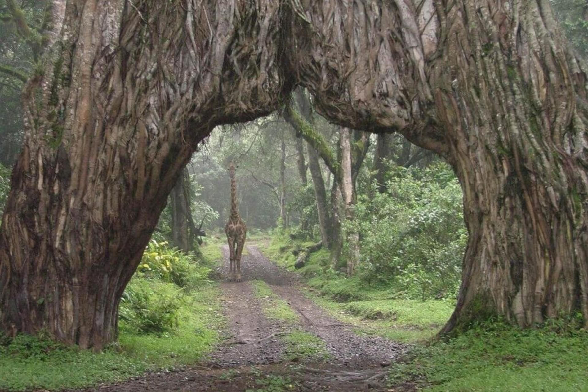 Arusha National Park