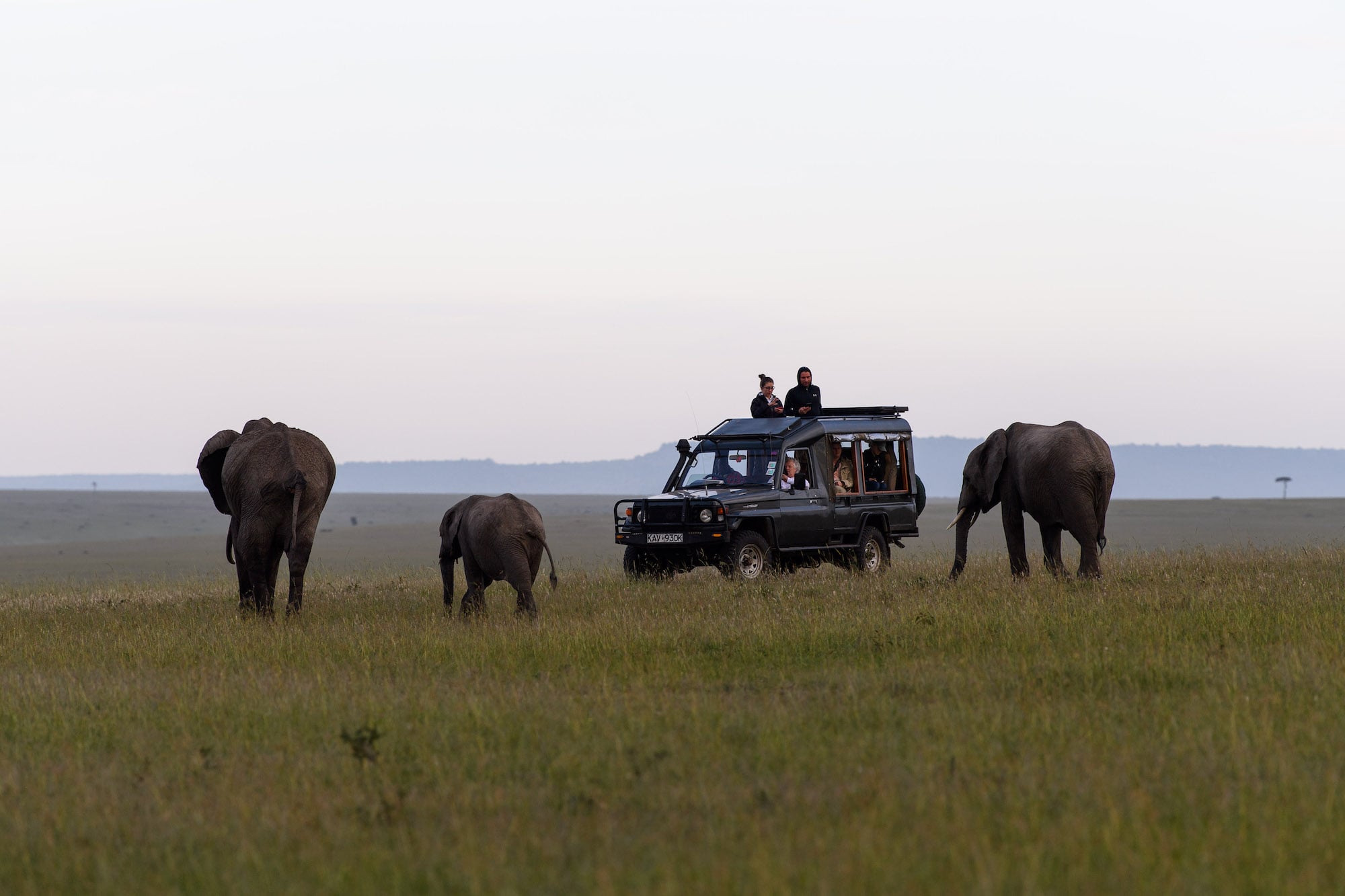 What to Expect on Safari in Tanzania