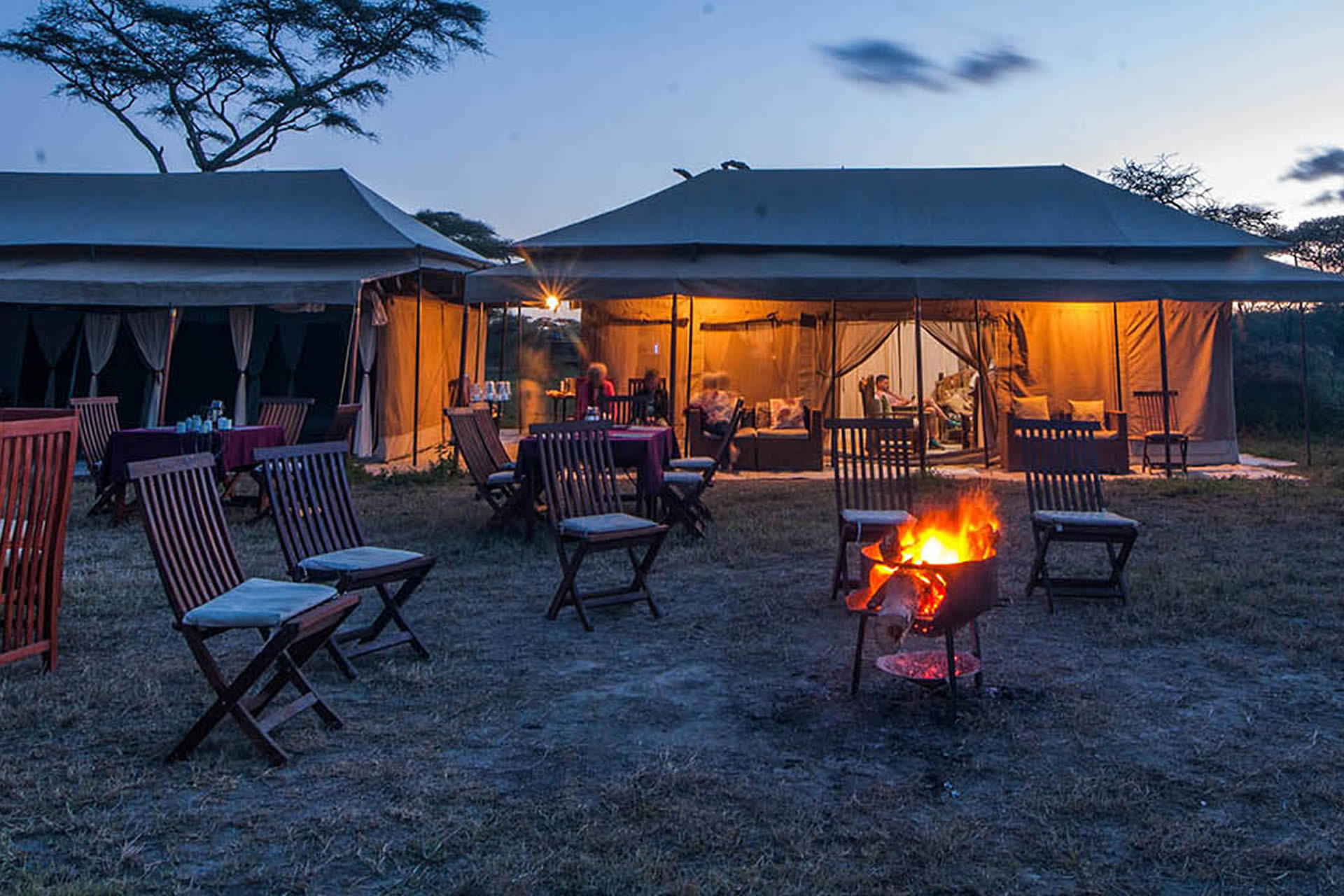 Luxury Safari Tented Camps