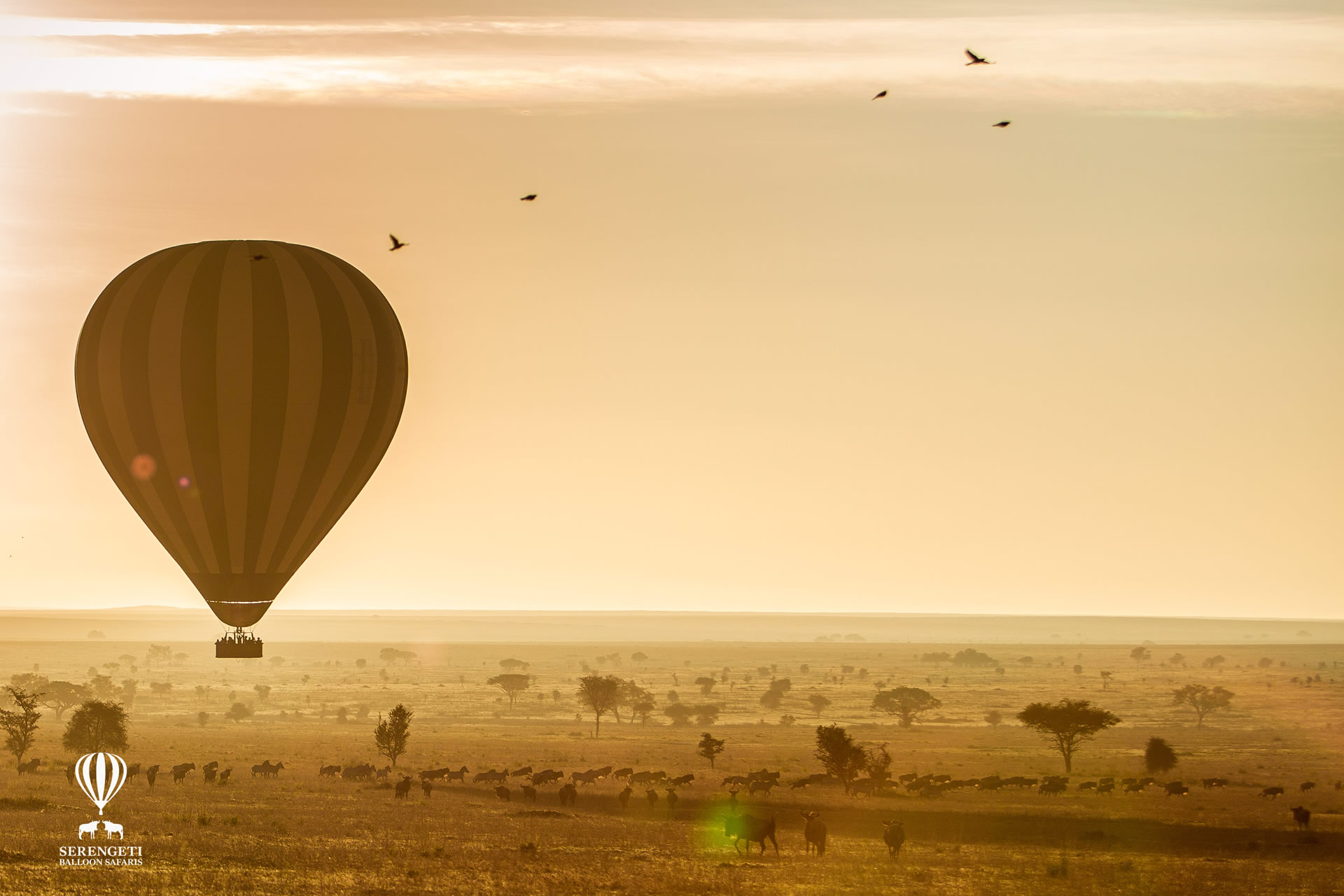 serengeti balloon flight