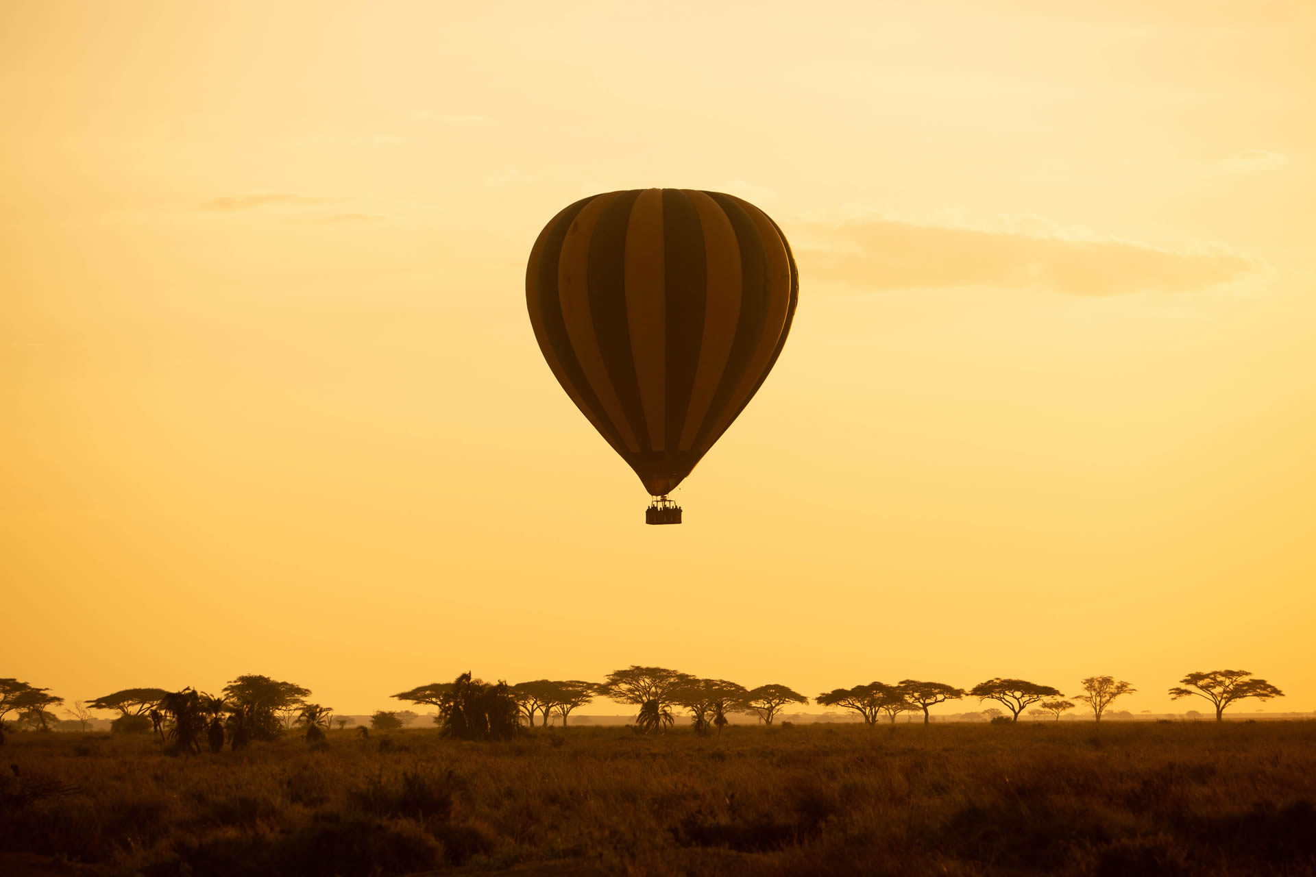 hot air balloon safari in Tanzania