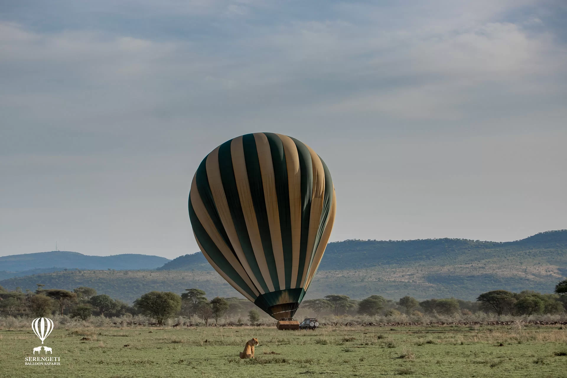 Serengeti Flying Balloon