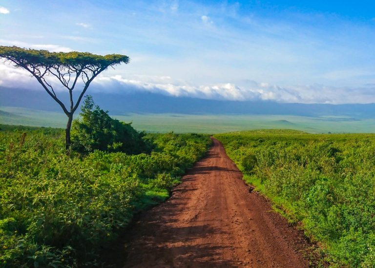 Ngorongoro