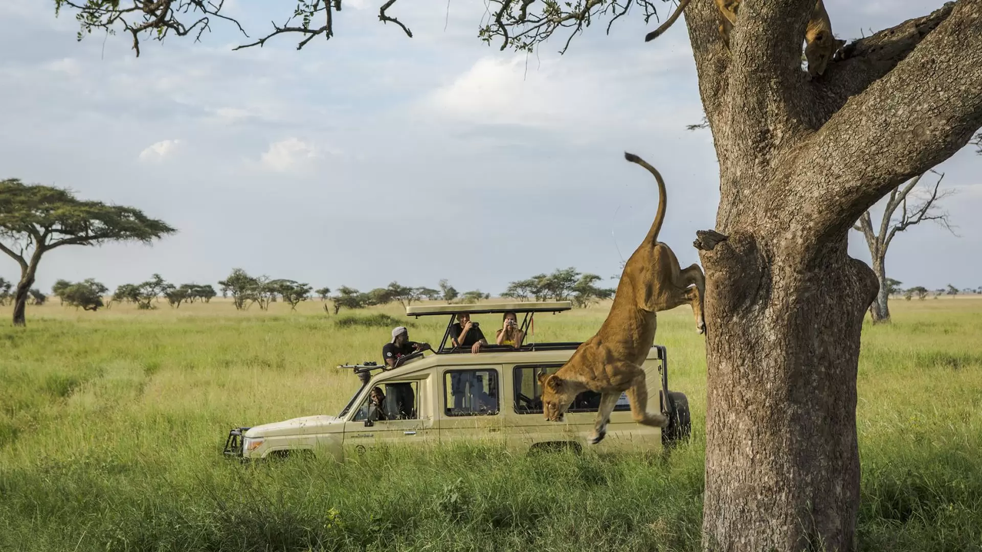 Family Expeditions to Tanzania