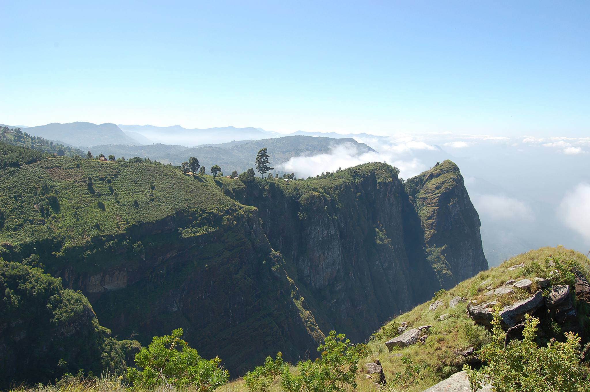 Discover Usambara Mountains - Book With Toto Africa Adventures